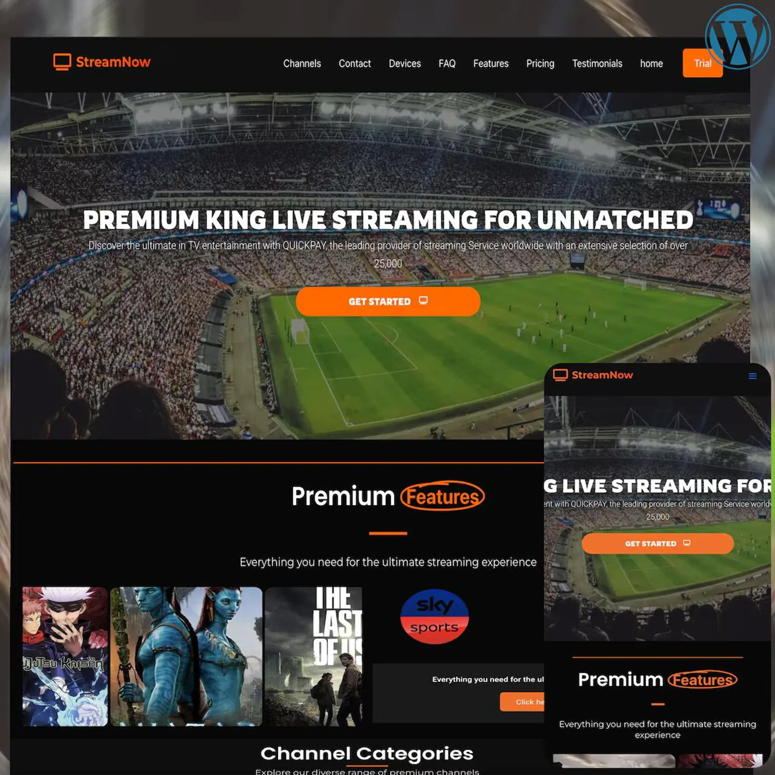 WordPress Theme for Streaming Template Modern Responsive preview